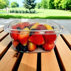 CH-32OZ HINGE CLEAR HINGED CONTAINER 200/CS