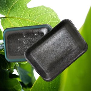 FOAM TRAY 2PL BLACK FOAM TRAY 2PL BLACK 400/CS