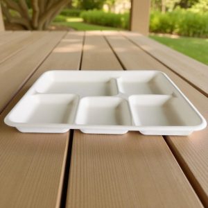 BIO-5 COMPARTMENT SCHOOL TRAY 5 COMPARTMENT BIODEGRADABLE RECTANGLE SCHOOL TRAY 500/CS